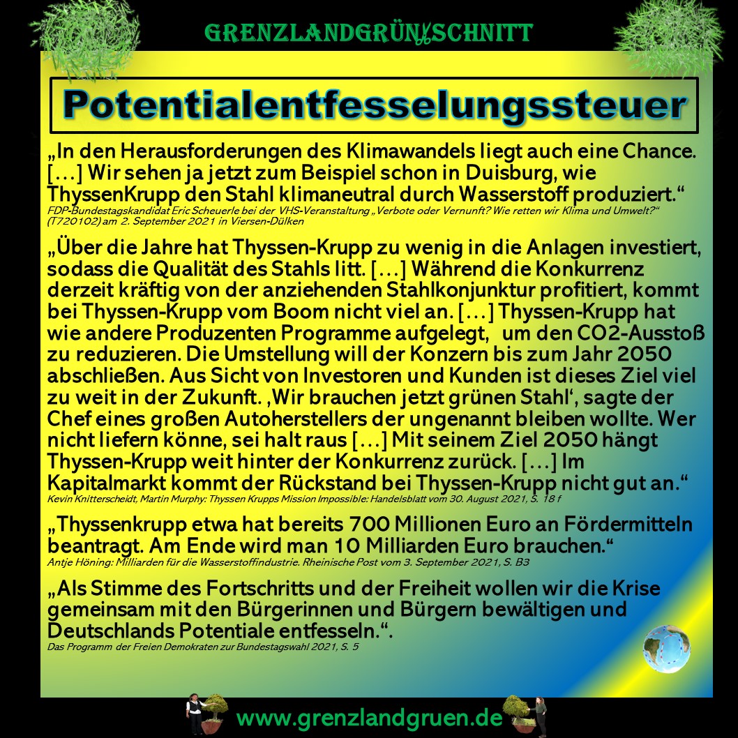 Potentialentfesselungssteuer.jpg